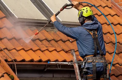 Démoussage et hydrofuge de toiture à Prondines